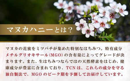 【定期便全12回】マヌカハニー MGO860+ 500g ストロングマヌカハニー・T146