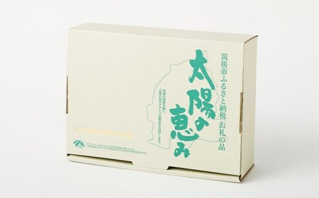 【3回定期便】クロレラセオリー 900粒（200mg×300粒×3袋） 健康食品 健康 錠剤 サプリ サプリメント スーパーフード クロレラ