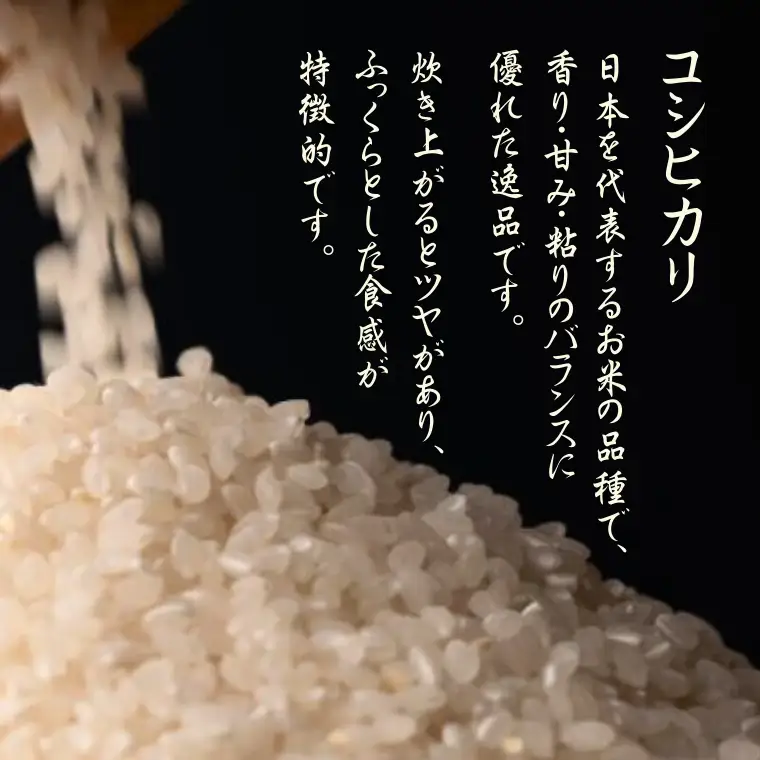 【令和８年産】先行予約受付中！水野農園の加須市北川辺産　コシヒカリ　20㎏　《選べる！精米or玄米》｜お米　米　令和８年　こしひかり　新米