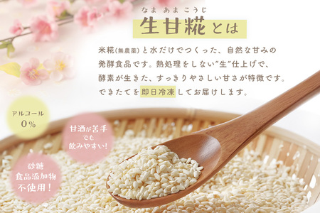 生甘糀 プレーン 200g×4本 K020001