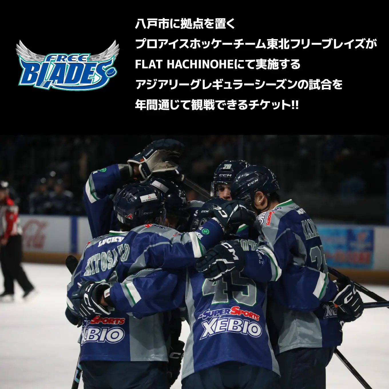 東北フリーブレイズ　アジアリーグ アイスホッケー 〈2026‐27シーズン〉 シーズンシート（自由席エリア） FLAT HACHINOHE 観戦チケット 1名 青森県 八戸市