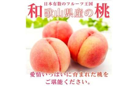 【全2回】かつらぎ町のフルーツ定期便（桃・梨）【7月・8月】 【tkb425】