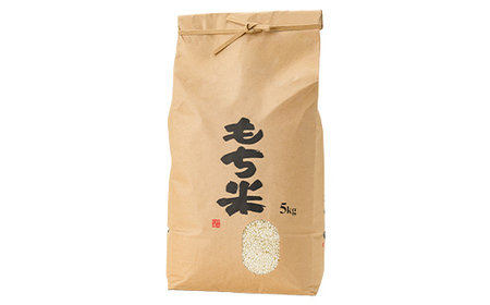 【令和7年産】新庄産「ヒメノモチ」（精米）5kg F3S-2777
