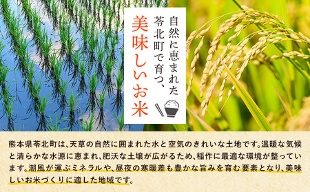 超早期米 コシヒカリ こしひかり 5kg 田嶋ファーム《30日以内に出荷予定(土日祝除く)》熊本県 苓北町 米 早期米 天草 苓北 国産 九州 熊本 熊本県産