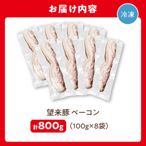 望来豚ベーコン　ブロック100g×8｜ふるさと納税 無添加 ベーコン 北海道 石狩市