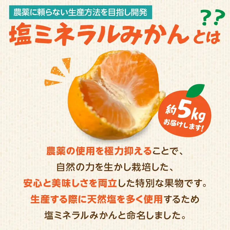 【超減農薬・高糖度】塩ミネラルみかん 約5kg ＜配送不可：北海道・沖縄・離島＞ みかん ミカン 蜜柑 フルーツ 美味しい 超減農薬 福岡県 八女市 072-340