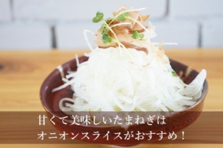淡路島たまねぎ　5kg