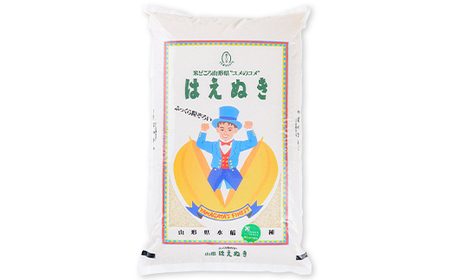 【令和7年産】 お米マイスターおすすめ 新庄産「はえぬき」（精米）10kg F3S-2664