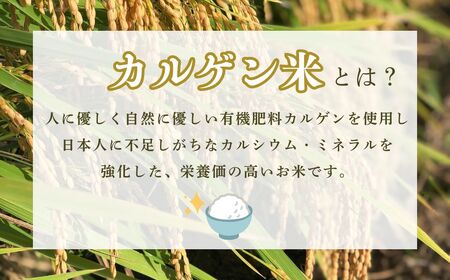 令和7年産 こしひかりカルゲン米 10kg(5kg×2) お米 白米 コシヒカリ | 石川県 小松市【坂口農園】