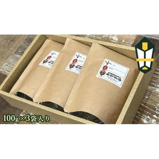 【 お中元 熨斗付 】南部珈琲 ブレンド 100g × 3袋