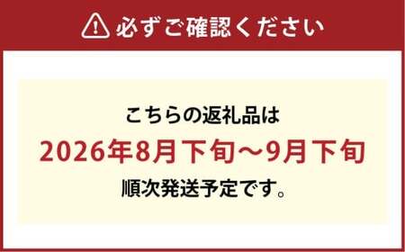 岡山県産 黄色い桃 匠の黄金桃 約3kg箱 6～9玉 【2026年8月下旬～9月下旬発送予定】 黄金桃 桃 もも モモ ピーチ 黄色 黄金 フルーツ 果物 果実 くだもの 国産 冷蔵 果汁 果肉