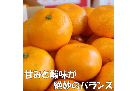 【0204-3】和歌山の完熟みかん5kg 紀州日高地方からお届けします!≪先行予約≫