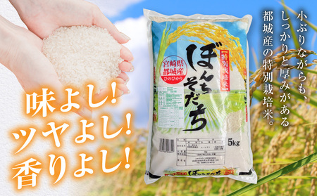 【父の日】都城産ひのひかり特別栽培米「ぼんちそだち」10kg(5kg×2袋)≪6月18日～21日お届け≫〔21-N5-001-10kg-FG〕_(都城市) 都城産 お米 10kg 5kg×2 ひのひかり ぼんちそだち