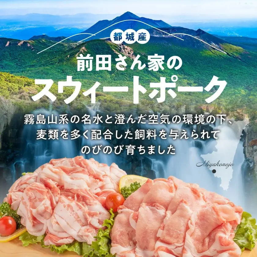 「前田さん家のスウィートポーク」肉肉肉1kgセット≪みやこんじょ快速便≫〔AA-89-002-1kg-R〕_(都城市) 豚肉 豚 ブランド豚 ロース バラ 切り落とし ひき肉 セット 1kg 肉 料理 アレンジ