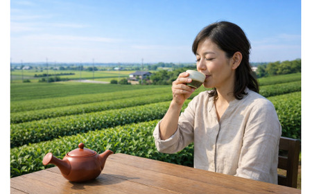 八女茶 1煎パック（10g茶葉入り） 6個 計60g お茶 茶葉 茶 緑茶 煎茶 日本茶 福岡県 筑後市【2026年1月から順次発送予定】