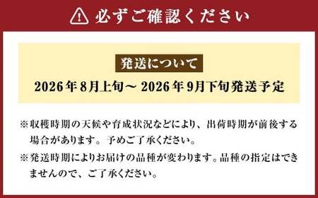 【秀品】 九重町産 梨 詰め合わせ 約3kg （約6～8個） なし ナシ 香麗 こうれい 幸水 こうすい 豊水 ほうすい あきづき なつしずく 果物 くだもの フルーツ 【2026年8月上旬～9月下旬発送予定】