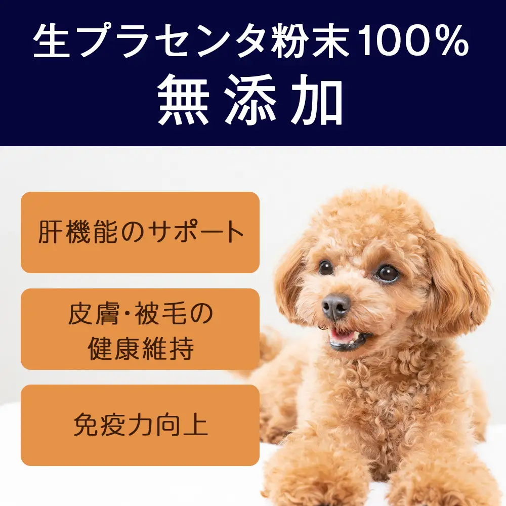 犬用サプリメント「ポチ・アンケシ」【白老プラセンタ株式会社】