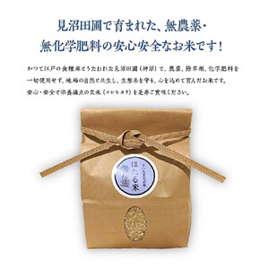 見沼田圃　ほたる米（無農薬／無化学肥料玄米） コシヒカリ 5kg　【11100-1138】