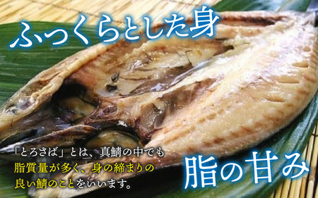 脂がのった 国産とろさば一夜干し 3枚 真鯖使用 さば 仕込み 天日干し 瞬間冷凍 ふっくら