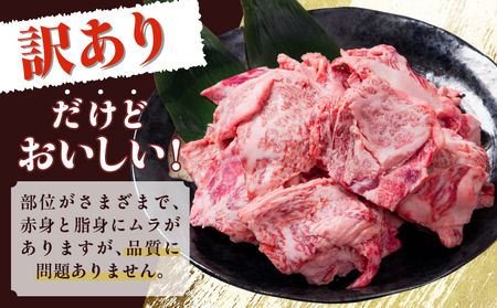 数量限定 訳あり 宮崎県産 黒毛和牛 焼肉用 切り落とし 計500g_BB164-25