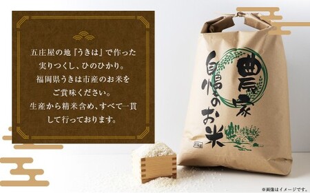 五庄屋の地で作った お米 玄米 食べ比べセット（ 実りつくし ・ ひのひかり ）各5kg 計約10kg 米 ご飯 国産 九州産 福岡県 うきは市 【2026年1月下旬発送開始】