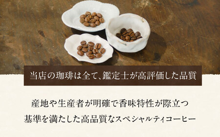 【3回定期便】スペシャルティコーヒー詰め合わせ　150g×2袋 【海と猫。】[OCK002]