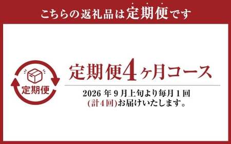 【4回定期便】岡山県産 フルーツ定期便コース （ニューピオーネ ・ シャインマスカット ・ 紫苑 ・ あたご梨） 【2026年9月上旬発送開始】／ 4回 葡萄 ぶどう マスカット 晴王 梨 なし 果物 果実 フルーツ 旬 定期便 岡山県 美咲町 冷蔵 常温