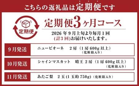 【3回定期便】岡山県産 フルーツ定期便コース （ニューピオーネ ・ 晴王 ・ あたご梨） 【2026年9月上旬発送開始】 ／ 3回 葡萄 ぶどう シャインマスカット マスカット 梨 なし 果物 果実 フルーツ 旬 定期便 岡山県 美咲町 冷蔵 常温