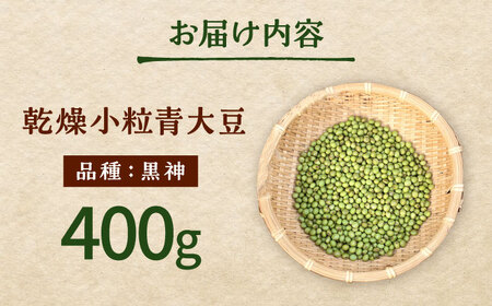 《農薬不使用》乾燥小粒青大豆（品種：黒神）【ekam】 大豆 豆 オーガニック 農薬不使用 有機JAS認証 青大豆 乾燥大豆 北海道 [AXBV011] 4000 4000円