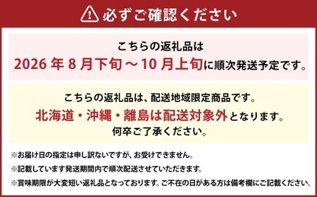 岡山県産 ニューピオーネ 2房 （1房600g以上） 化粧箱入り 【2026年8月下旬-10月上旬迄発送予定】 ／ 葡萄 ぶどう 果物 果実 フルーツ 種なし 岡山県 美咲町 冷蔵