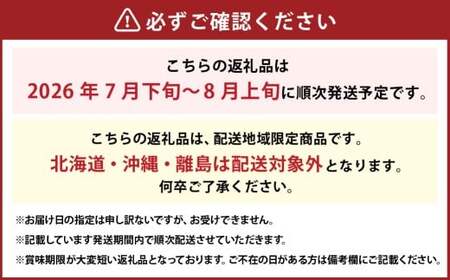 詰合 ／ 白桃 （1玉220g以上） 2玉 ・ ニューピオーネ （1房480g以上） 2房 化粧箱入り【2026年7月下旬～8月上旬迄発送予定】 ／ 桃 もも 葡萄 ぶどう 果物 果実 フルーツ 旬 詰め合わせ 詰合せ 岡山県 美咲町 冷蔵