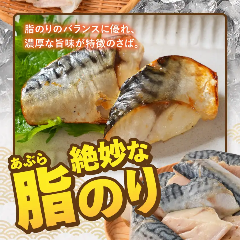 【訳あり】甘塩さば切身1kg〔AA-N7-002〕_(都城市) 訳あり 甘塩さば 切身 1kg 焼き魚 おかず お弁当