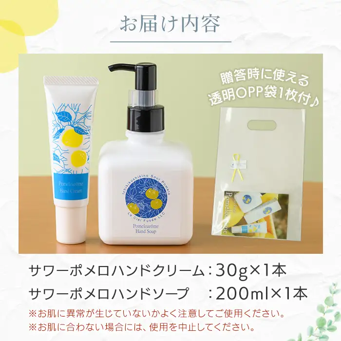 ボタニカル ハンドクリーム 30g×1本 と ハンドソープ 200ml×1本 セット【00-090-23】