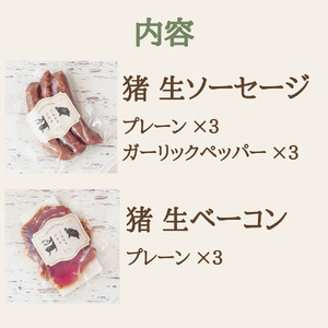 猪生ソーセージ＆猪生ベーコン 9点詰め合わせ【冷凍】猪肉 ジビエ  加工品