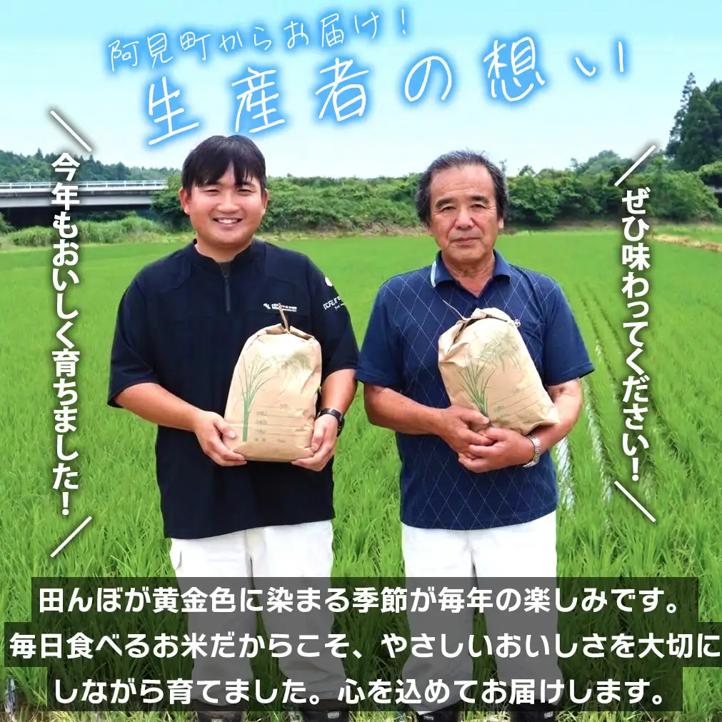 米 定期便 11ヶ月 コシヒカリ 精米 15kg 令和7年産 茨城県産 お米 こめ コメ ごはん 白米 こしひかり 茨城県産米 単一米 単一原料米 安心 安全 送料無料 国産 人気 数量限定 高評価（85-170）