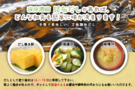 日高昆布だし(液体濃縮)300ml×2本セット[30-1538]