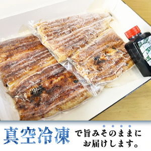 【国産 うなぎ】冷凍 うなぎ 2尾 贈答用 のし対応可 