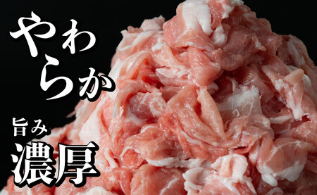 【12回定期便】長崎県産 豚肉こま切れ 1.8kg (300g×6) 総計21.6kg 定期便 小分け 冷凍 豚肉 こま切れ 小間切れ 細切れ 切り落とし ぶたにく 国産豚 定期便 