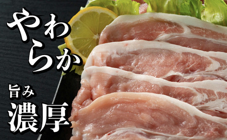 【3回定期便】 長崎県産 豚肉 モモスライス 1.6kg (400g×4) 総計4.8kg 定期便 小分け 冷凍 豚肉 しゃぶしゃぶ すき焼き ぶたにく 国産豚 3回 定期便 