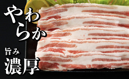 長崎県産 豚肉 バラスライス 計1kg (500g×2) 小分け 冷凍 豚肉 しゃぶしゃぶ すき焼き ぶたにく 国産豚 