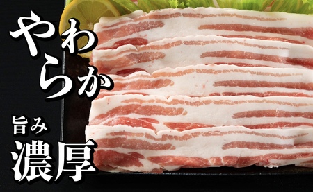 【3回定期便】 長崎県産 豚肉 バラスライス 計1kg (500g×2) 総計3kg 定期便 小分け 冷凍 豚肉 しゃぶしゃぶ すき焼き ぶたにく 国産豚 3回 定期便 