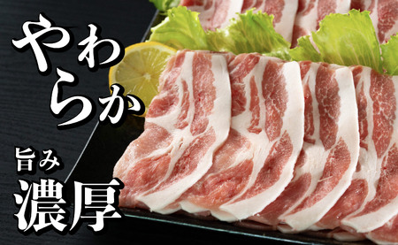 長崎県産 豚肉 ローススライス 計1kg (500g×2) 小分け 冷凍 豚肉 しゃぶしゃぶ すき焼き ぶたにく 国産豚 