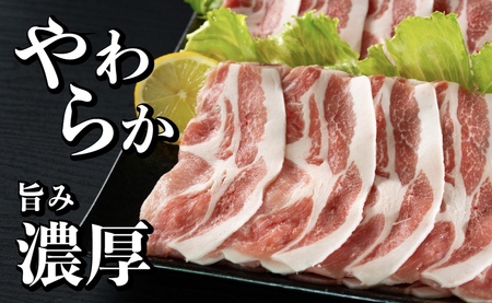【3回定期便】 長崎県産 豚肉 ローススライス 計1kg (500g×2) 総計3kg 定期便 小分け 冷凍 豚肉 しゃぶしゃぶ すき焼き ぶたにく 国産豚 3回 定期便 