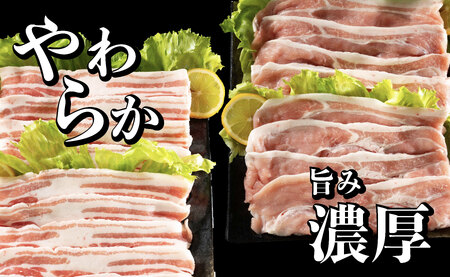 《定期便》長崎県産豚 2種食べ比べ (モモ･バラスライス) 計1.3kg (モモ400g×2･バラ500g×1)【6回お届け】