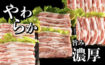 長崎県産豚 3種食べ比べ (モモ･バラ･ロース スライス)計 1.8kg (モモ400g×2･バラ500g×1･ロース500g×1)