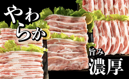 《定期便》長崎県産豚 3種食べ比べ (モモ･バラ･ロース スライス)計 1.8kg (モモ400g×2･バラ500g×1･ロース500g×1)【3回お届け】