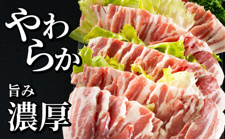 《定期便》長崎県産豚 バラ焼肉用 計1kg(500g×2)【3回お届け】