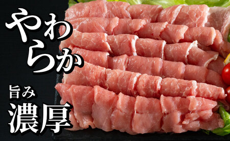 長崎県産豚 ロース焼肉用計1kg (500g×2)
