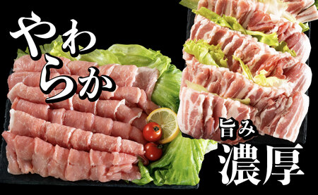 《定期便》長崎県産豚 バラ･ロース 焼肉用 2種食べ比べ 計1kg(バラ500g×1･ロース500g×1)6回お届け】