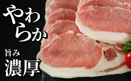 《定期便》長崎県産豚 ロース生姜焼き用 計1kg (500g×2)【6回お届け】